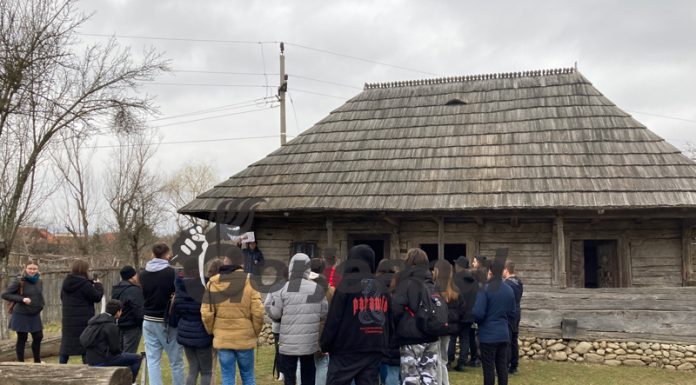 Muzeele Brâncuși din Gorj, deschise de Ziua Națională dedicată artistului!