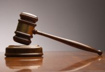 Încătușați în ancheta luptelor ilegale de câini din Moldova!