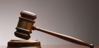 Încătușați în ancheta luptelor ilegale de câini din Moldova!