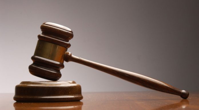 Încătușați în ancheta luptelor ilegale de câini din Moldova!