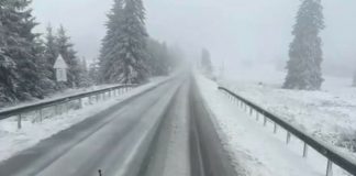 Revin ninsorile la munte! Pentru o zi!