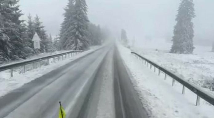 Revin ninsorile la munte! Pentru o zi!