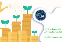 APIA a autorizat la plată peste 47,7 milioane lei pentru Ajutoarele Naționale Tranzitorii