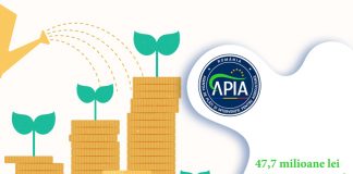 APIA a autorizat la plată peste 47,7 milioane lei pentru Ajutoarele Naționale Tranzitorii