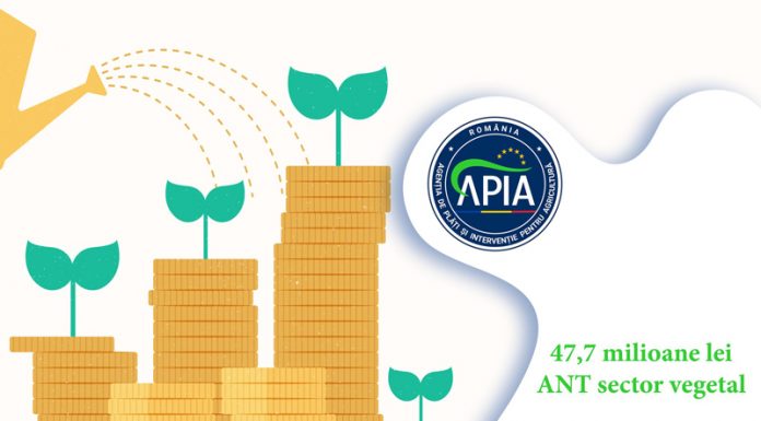 APIA a autorizat la plată peste 47,7 milioane lei pentru Ajutoarele Naționale Tranzitorii