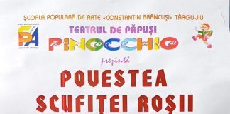 Spectacol de teatru de păpuși, la Sadu