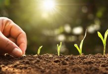 Agricultura pe înțelesul tuturor – Să ne protejăm ecologic grădina, casa și gospodăria