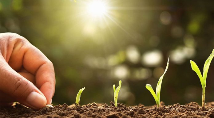 Agricultura pe înțelesul tuturor – Să ne protejăm ecologic grădina, casa și gospodăria