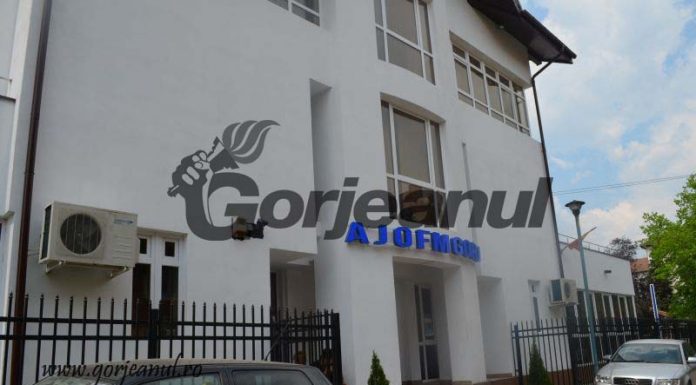 Un nou curs de formare profesională debutează la AJOFM Gorj