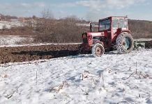 Agricultura pe înțelesul tuturor – Calendarul lucrărilor agricole în luna februarie
