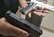 Câți gorjeni au declarat că dețin arme de foc. Cifrele, de ordinul miilor