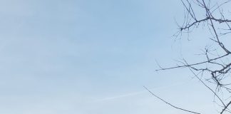 Primul solar, construit în mod gratuit, va ajunge la o familie cu șapte copii din comuna Câlnic