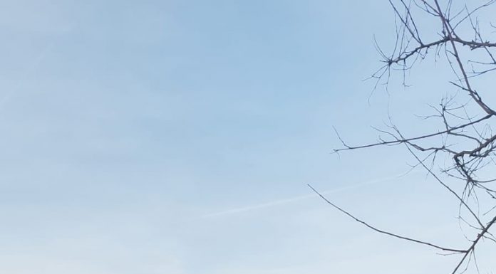 Primul solar, construit în mod gratuit, va ajunge la o familie cu șapte copii din comuna Câlnic