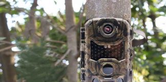 A sustras camera video din copac