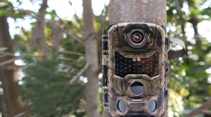 A sustras camera video din copac