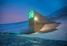 Număr record de semințe aduse la ”Depozitul Apocalipsei”