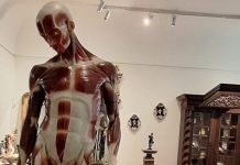 ”Ecorșeul” lui Brâncuși rămâne la dispoziția vizitatorilor, la MNArT