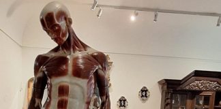 ”Ecorșeul” lui Brâncuși rămâne la dispoziția vizitatorilor, la MNArT