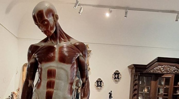 ”Ecorșeul” lui Brâncuși rămâne la dispoziția vizitatorilor, la MNArT