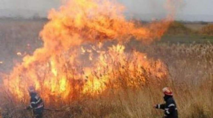 ALARMANT! Zeci de incendii în primele zile din februarie, în 32 de localități din județ