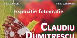 Un artist-fotograf al ȘPA Târgu Jiu vernisează expoziția ,,Urmele timpului”