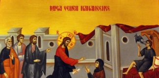 Viaţa Spirituală – Calea, Lumina, Adevărul şi Viaţa! – Dumnezeu nu ne vrea habotnici, superstiţoşi sau proşti, ci ne vrea fii ai Înţelepciunii şi ai Iubirii stăruitoare, ce ne apropie cu sufletul smerit spre mila Lui tămăduitoare!