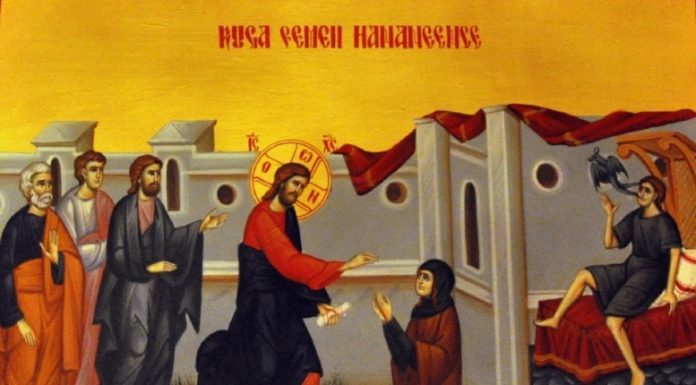 Viaţa Spirituală – Calea, Lumina, Adevărul şi Viaţa! – Dumnezeu nu ne vrea habotnici, superstiţoşi sau proşti, ci ne vrea fii ai Înţelepciunii şi ai Iubirii stăruitoare, ce ne apropie cu sufletul smerit spre mila Lui tămăduitoare!