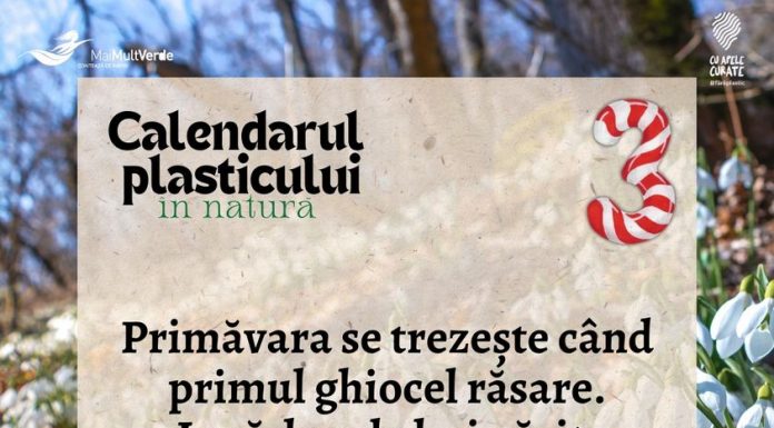 Garda de Mediu Gorj: Mărțișor – avalanșă de plastice! Ghiocelul, specie protejată