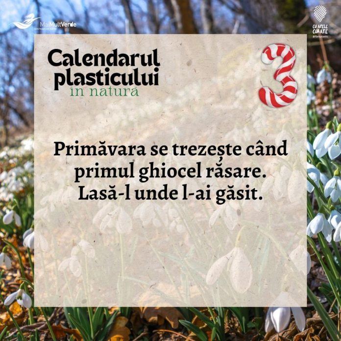 Garda de Mediu Gorj: Mărțișor – avalanșă de plastice! Ghiocelul, specie protejată