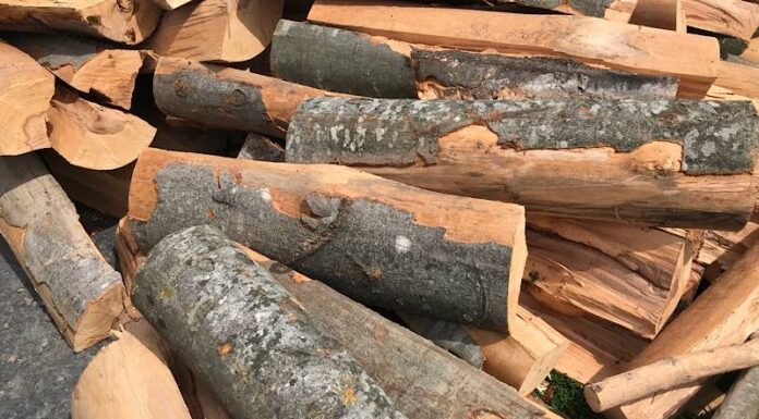 Ocoalele silvice nu vor mai avea voie să vândă lemne de foc. Cerință UE