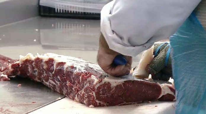 O măcelărie, cantina unui spital, dar și doi veterinari, pe lista sancționaților DSVSA