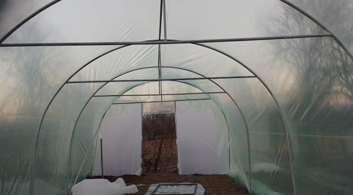 PUSL Gorj: S-au strâns fonduri pentru continuarea sprijinirii familiilor cu posibilități financiare reduse