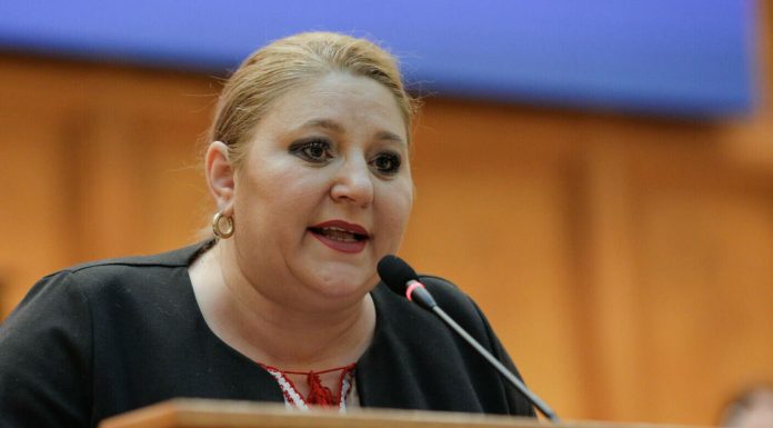 Diana Șoșoacă a primit un plic. Alertă la Senat