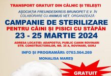 Campanie de sterilizare la Rovinari, Câlnic și Telești