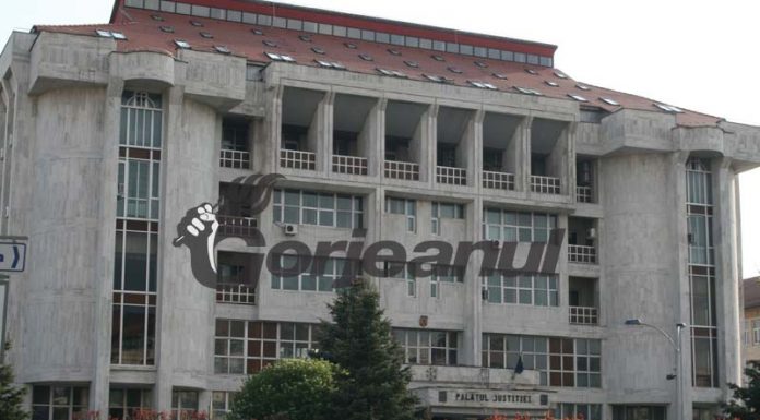 Judecătorii au decis când va fi dată sentința în dosarul târgujianului care și-a omorât fratele