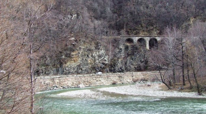 ASTENII DE PRIMĂVARĂ – RHABON