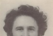 Lecția despre Brâncuși (XVII)