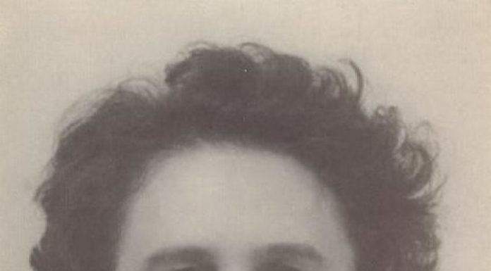 Lecția despre Brâncuși (XVII)