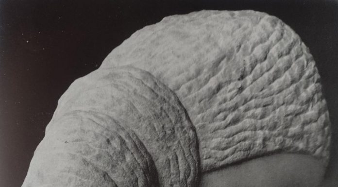 Lecția despre Brâncuși (XIX)