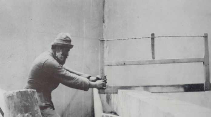 Lecția despre Brâncuși (XX)