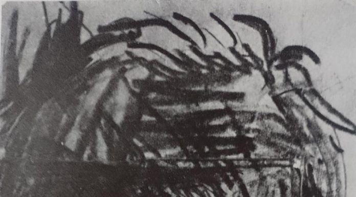 Lecția despre Brâncuși (XXI)