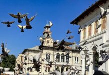 Lumea gorjenească – Mergem înainte