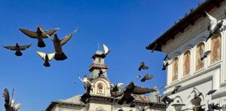 Lumea gorjenească – Mergem înainte