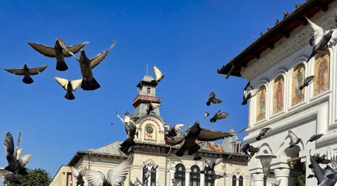 Lumea gorjenească – Mergem înainte