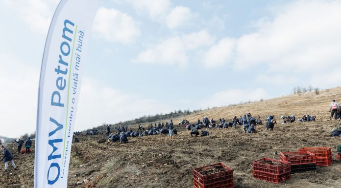 Copaci plantați de OMV Petrom la Târgu Jiu