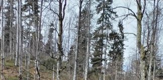 Firma care a aruncat substanțe și produse poluante la Runcu, pe malul apei, amendată de jandarmi