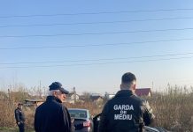 Garda de Mediu a amendat locuitori din Târgu Jiu și Tismana, pentru că au aruncat gunoaie la întâmplare