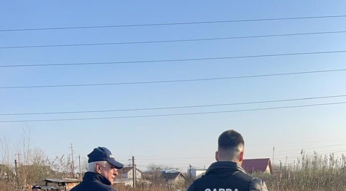 Garda de Mediu a amendat locuitori din Târgu Jiu și Tismana, pentru că au aruncat gunoaie la întâmplare