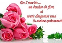 Aş vorbi cu tine, mamă…