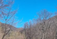 Lucrări de decolmatare la Crasna